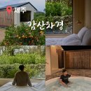 감산차경 이미지