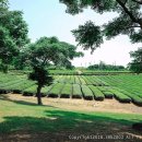 몬스터피시카페 이미지