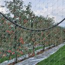 장수읍사무소 이미지