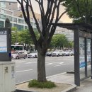 더백샵