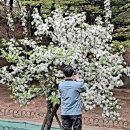 은빛 5단지 앞 이미지