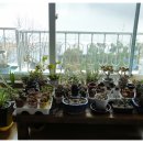 팔봉농원 이미지