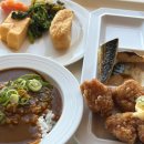 하나안경 | [쇼핑] 오사카 진즈(JINS) 안경 구매후기👓... 편안한 착용감에 가성비까지 챙긴 안경 추천