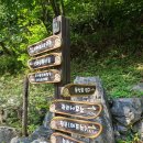 금산 선야봉 산행, 등산코스 : 남이자연휴양림 - 선야봉정상 - 신선봉 - 오십폭포 - 남이자연휴양림...