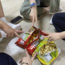 멍멍아 야옹해봐 이미지