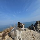 청산빌리지펜션 이미지