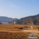구룡 축사 이미지