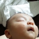 설빙광교호수공원 이미지