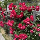 지금부터 핏 이미지