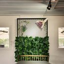 웰빙푸드 이미지