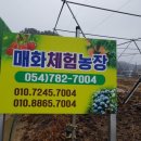 육남매농장 이미지