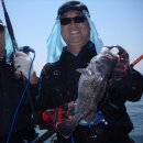 블루마린 이미지