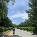 레인보우경양식 | 경주여행 가볼만한곳 불국사 입장료 레인보우 경양식맛집 찰보리빵
