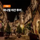 (테마투어)야경투어 이미지