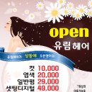 아송헤어 이미지