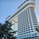 중앙시장번영회지하화장실 | 강릉 스카이베이 경포 호텔 오션뷰 파노라마 중앙시장 회센타