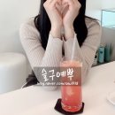 인택트(Intact) 이미지