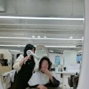 아델리오헤어 이미지