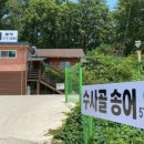 수사골송어 이미지