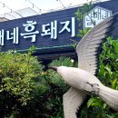 올레갈옷