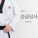 태권 슐레 이미지