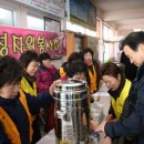 보성자원 이미지