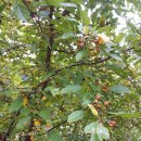 주천농장 이미지