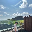 건우골드빌 앞 | JW 메리어트 제주 : 제리엇 프리미엄 킹 오션뷰 가든 전망 비교 객실 투숙 후기