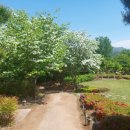 덕절산생태공원 이미지