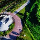대성동입구 2 네이버블로그