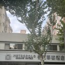 신천지시장 | 상하이 신천지 가성비 호텔 추천 - 진장 메트로폴로 상하이 신톈디 호텔