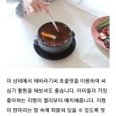 🌱식목일/먹는 화분 만들기🌱 이미지