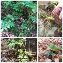 천지인농장 이미지