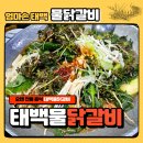 엄마손 태백물닭갈비 맛집 황지연못 근처 주차 정보