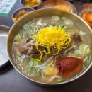 백칼국수