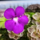 원트 청주 상당 이미지