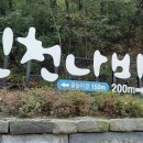 서인공원 이미지