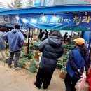 원진청과