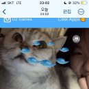 떼굴떼굴 이미지