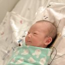 새하늘어린이집 | 12개월 돌아기 어린이집 입소 A to Z : 등록 대기신청부터 상담 질문 꿀팁·비교·확정까지 !