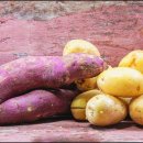 요양병원화장실 이미지