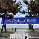 파도짐 | 경주파도소리댕댕캠프(나정고운모래캠핑장 후기)