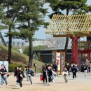소풍공예체험장