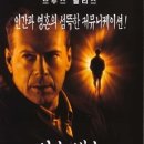 브루스인터내셔날 이미지