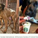 누렁이농장 이미지