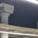 쭈공방 | 251029 쇼!챔피언 공방 후기(엑디즈)