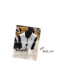 덕이동와이드앵글 이미지