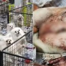 소중한이 이미지