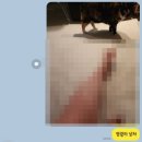 퀴즈노스성빈센트 이미지