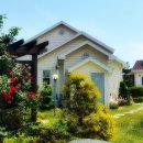 원산아일랜드 이미지